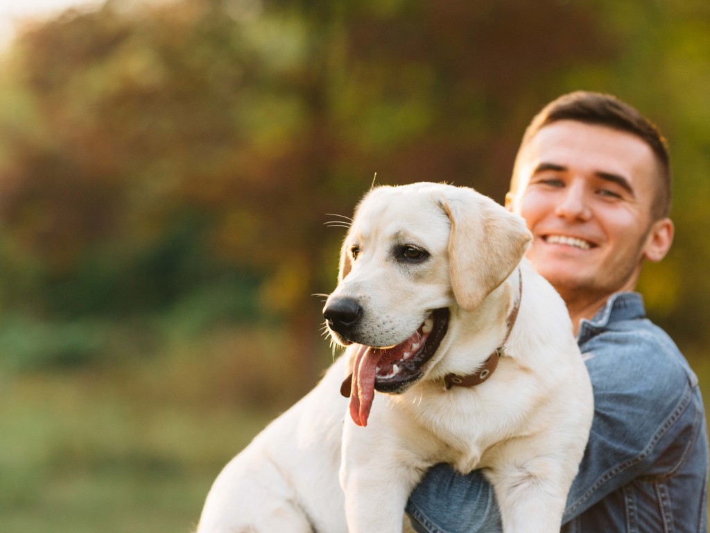 Denken Sie nicht nur im Winter darüber nach, auch im Sommer ist die isolierte Hundehütte wichtig!