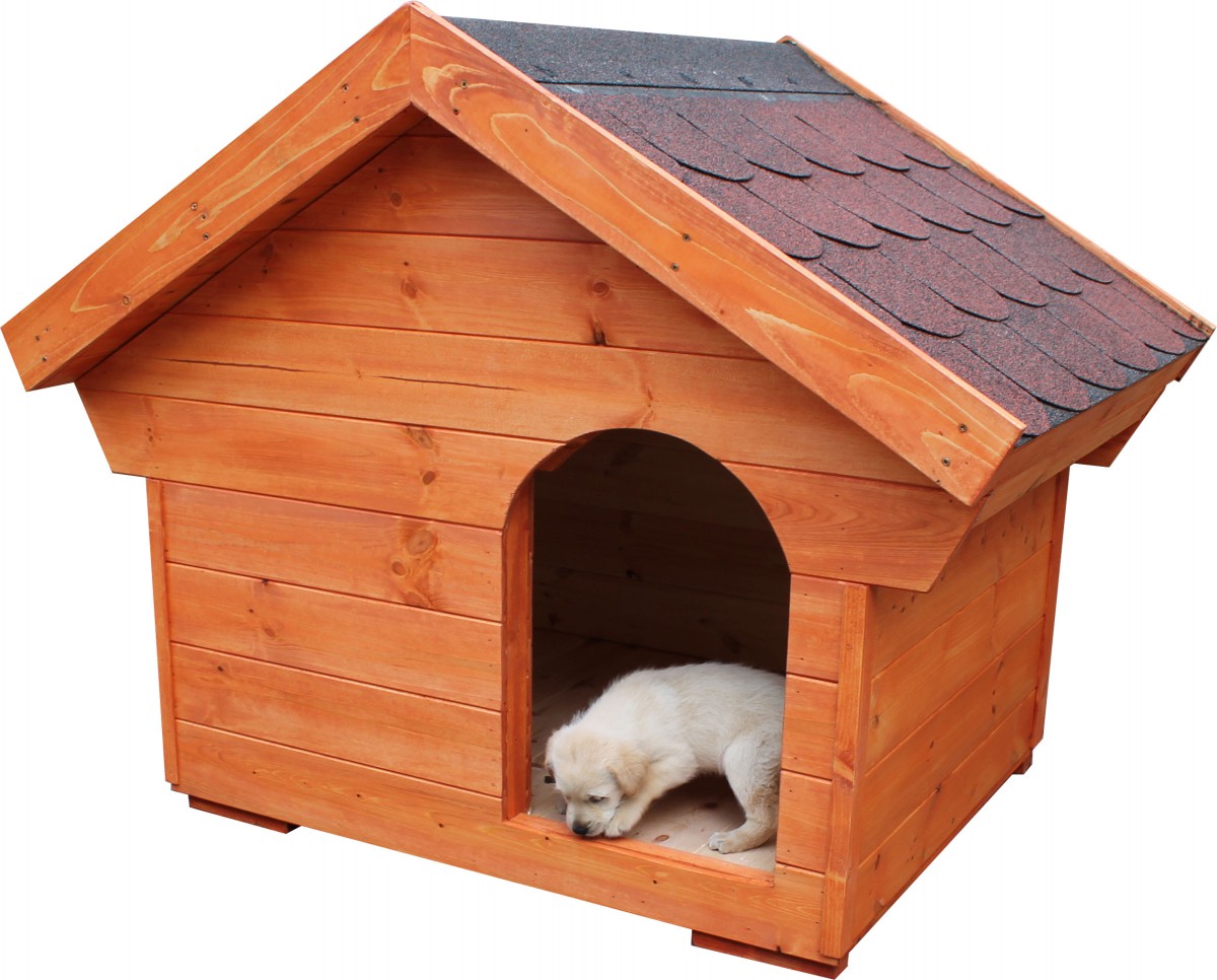 Atlas isolierte Hundehütte