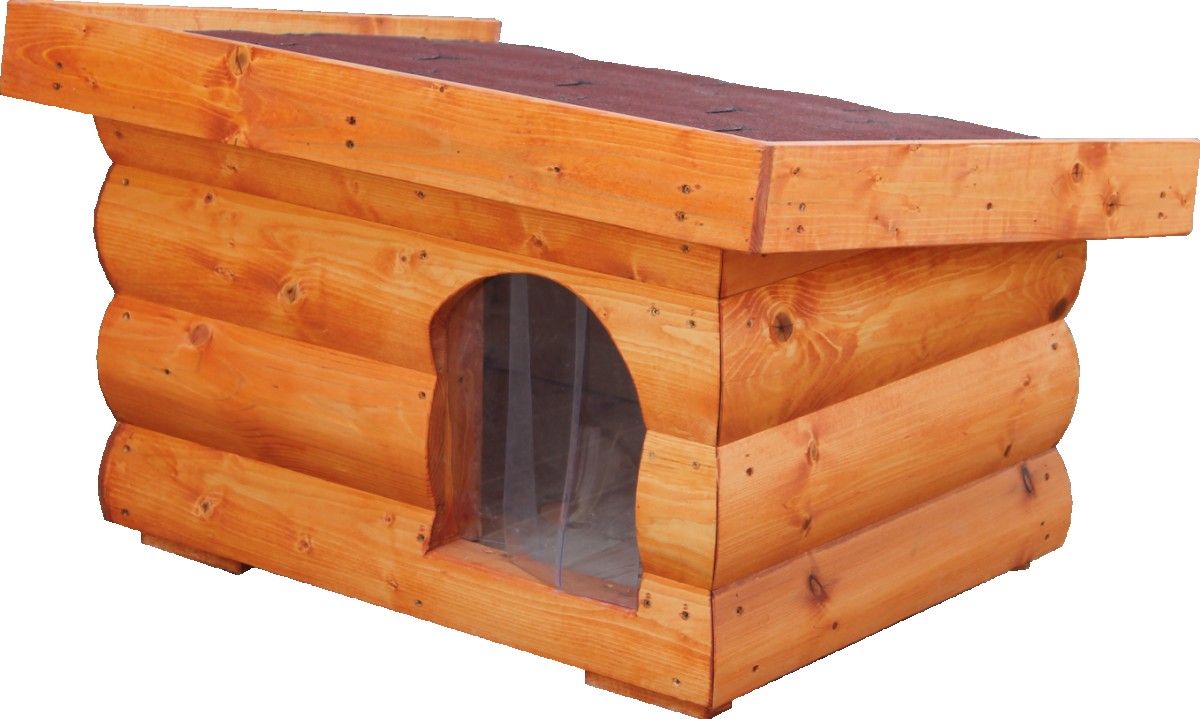 Goofy isolierte Hundehütte