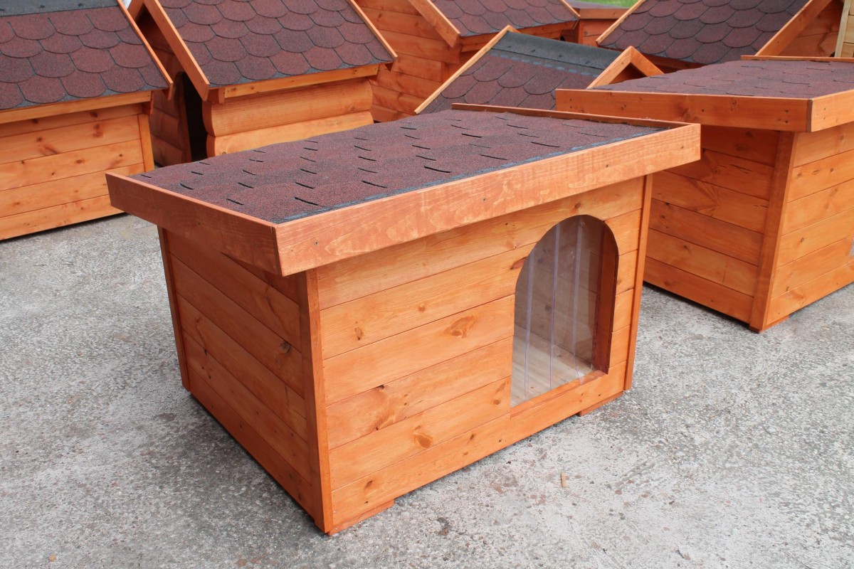 Dexter isolierte Hundehütte