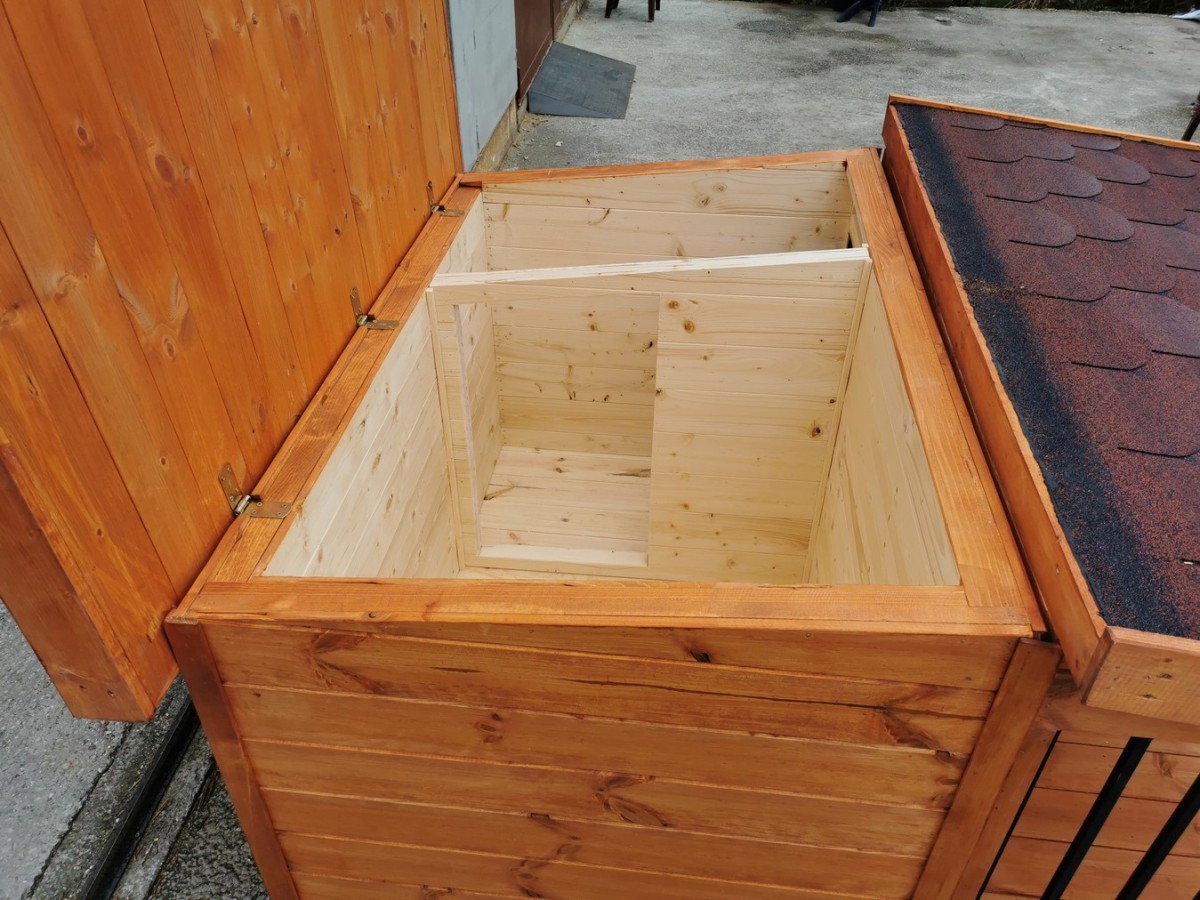 Rex isolierte Hundehütte