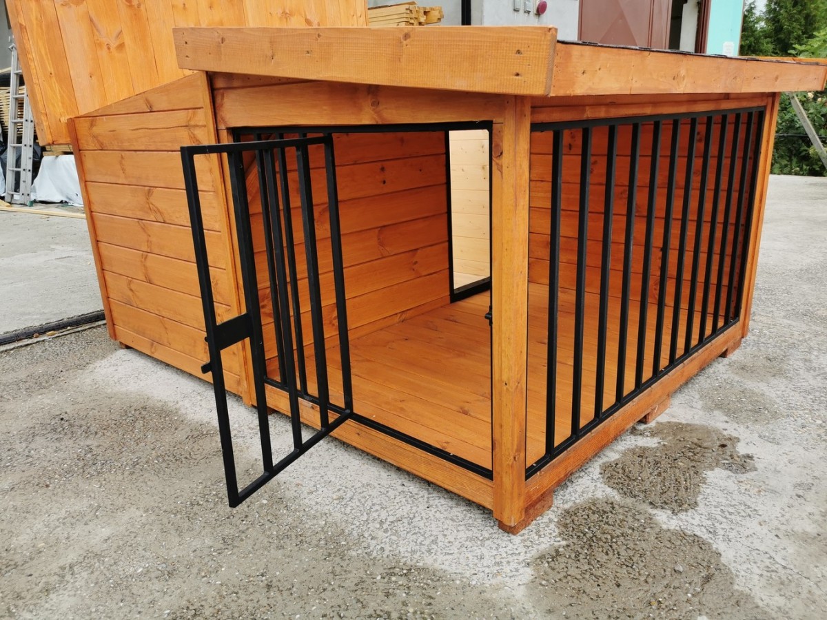 Rex isolierte Hundehütte