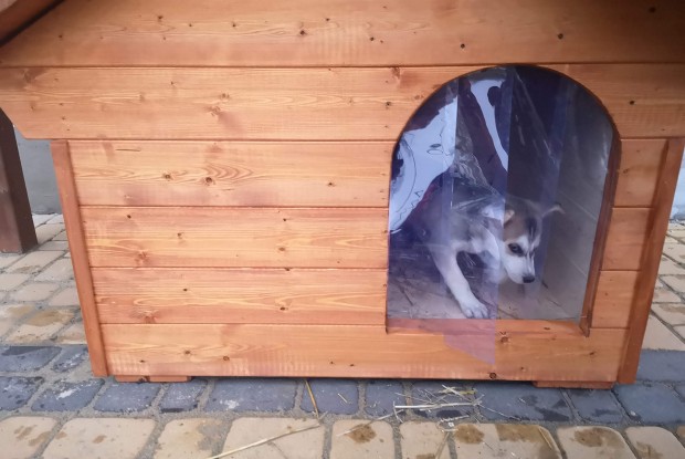 Atlas szigetelt kutyaház