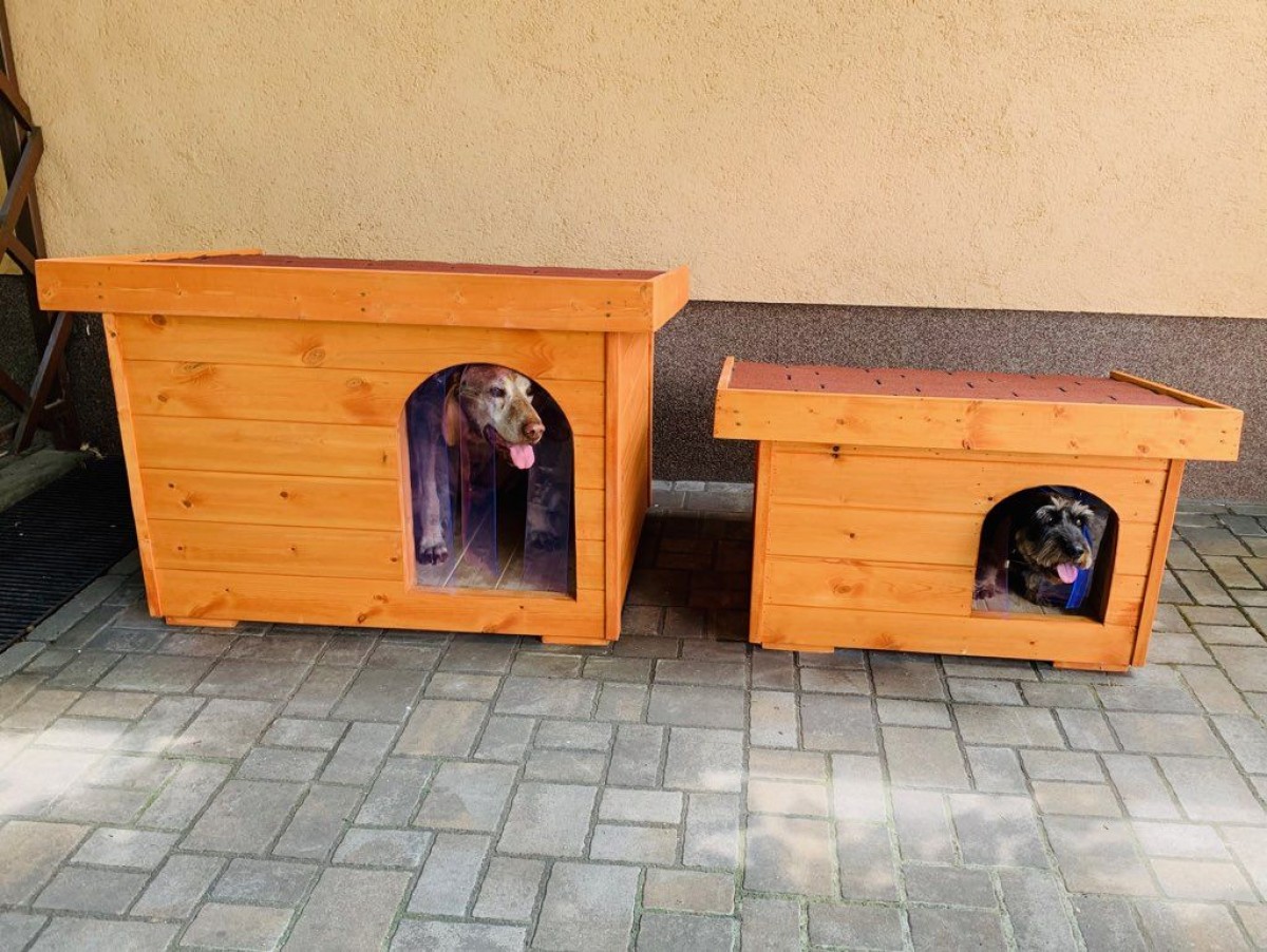 Dexter isolierte Hundehütte