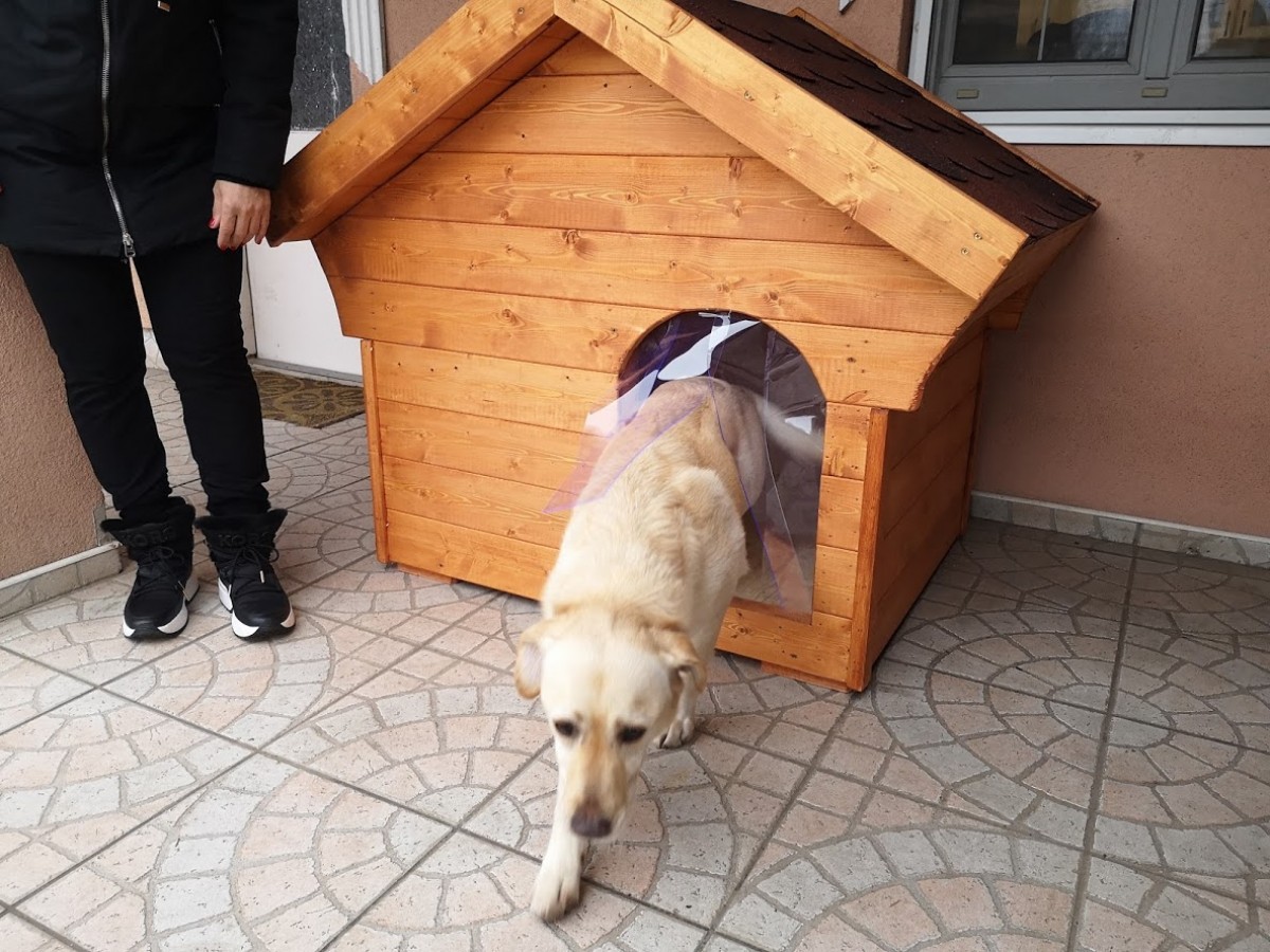 Atlas isolierte Hundehütte